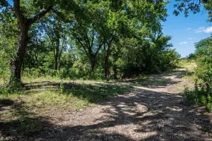 Jonesboro, TX 76538