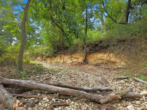 Jonesboro, TX 76538