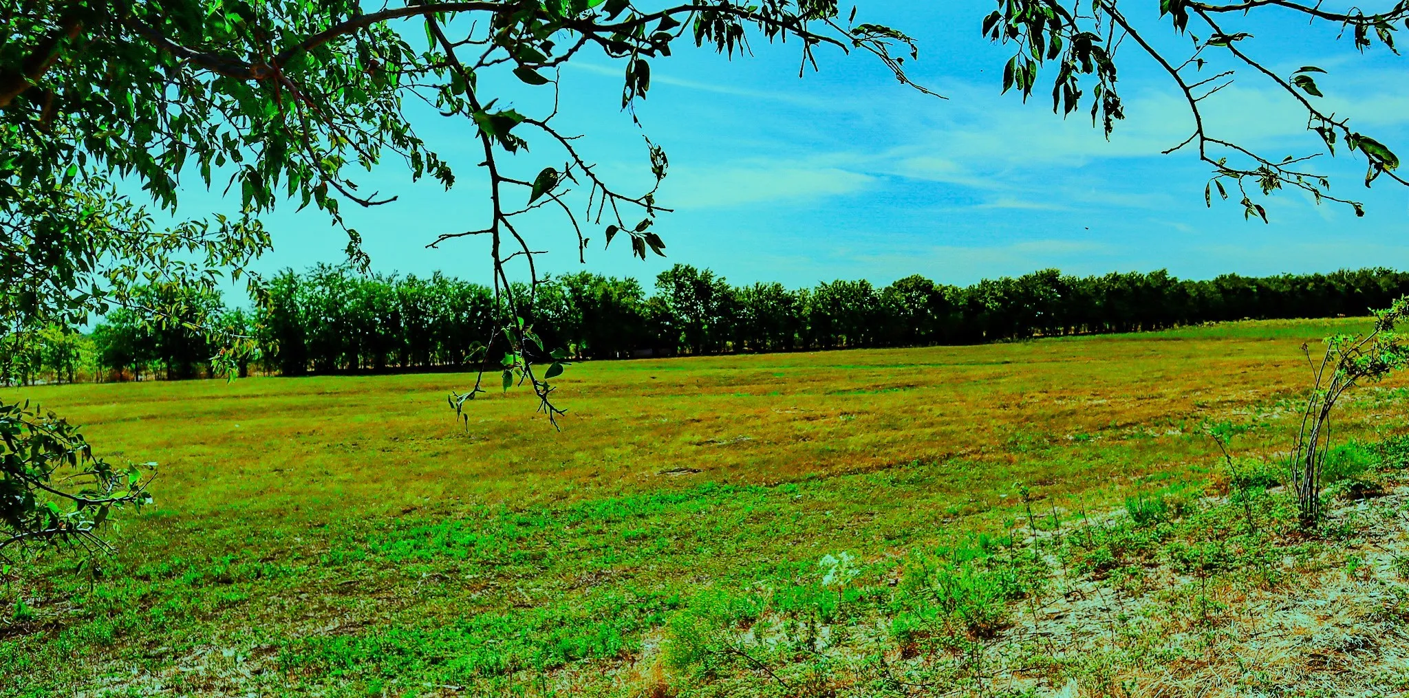 Terrell, TX 75160