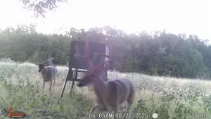 Stephenville, TX 76401