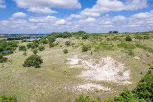 Hamilton, TX 76531