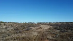 Abilene, TX 79601