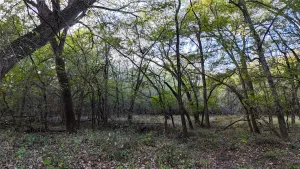 Ponder, TX 76259