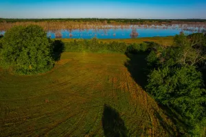 Dodd City, TX 75438