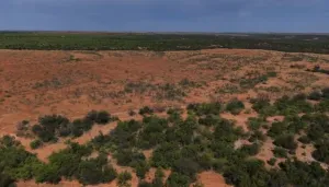 Childress, TX 70201