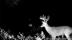 Stephenville, TX 76401