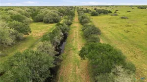 Hallettsville, TX 77964