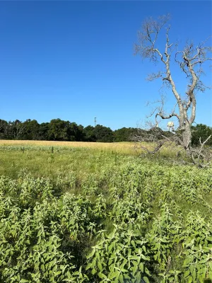 Tyler, TX 75706