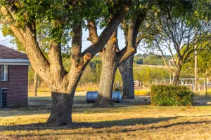 Alvarado, TX 76009