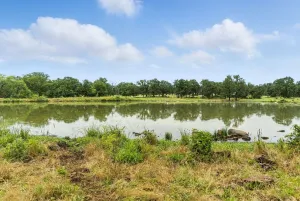 Jacksboro, TX 76458