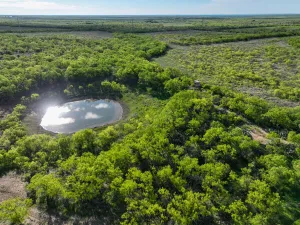 Voss, TX 76888