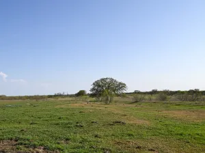 Decatur, TX 76234