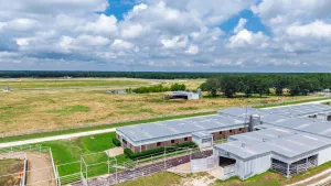 Lone Oak, TX 75453