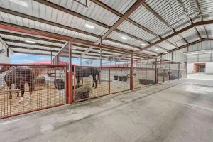 Whitesboro, TX 76273