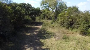 Dawson, TX 76639