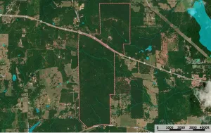 Ben Wheeler, TX 75754