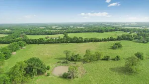 Honey Grove, TX 75446