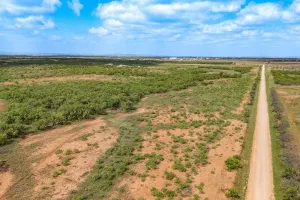 Abilene, TX 79603