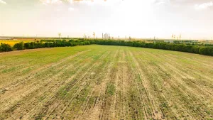 Royse City, TX 75189