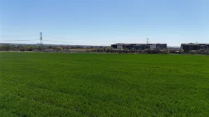 Grand Prairie, TX 76065