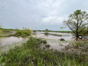 Bellevue, TX 76228