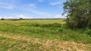 Hallettsville, TX 77964