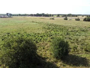 Greenville, TX 75401