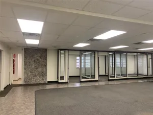 Irving, TX 75061