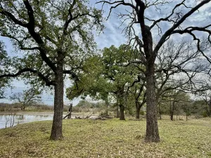 Hico, TX 76457