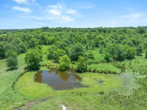 Edgewood, TX 75117
