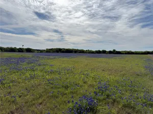 Alvarado, TX 76009