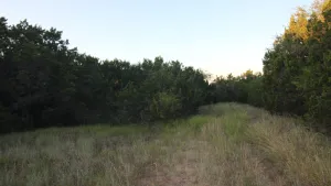 Abilene, TX 79602