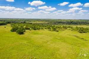 Harrold, TX 76364
