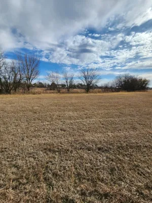 Tioga, TX 76271