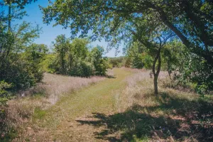Annetta, TX 76008