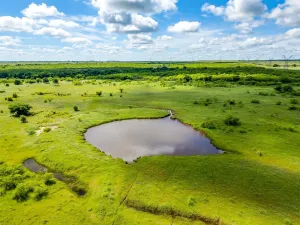 Bellevue, TX 76228