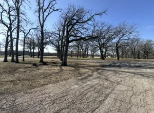 Sulphur Springs, TX 75482