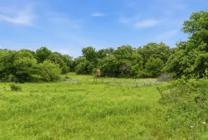 Bowie, TX 76230