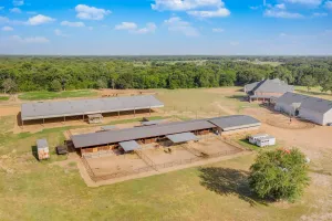 Sulphur Springs, TX 75482