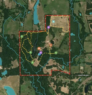 Sulphur Springs, TX 75482