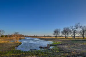 Point, TX 75472