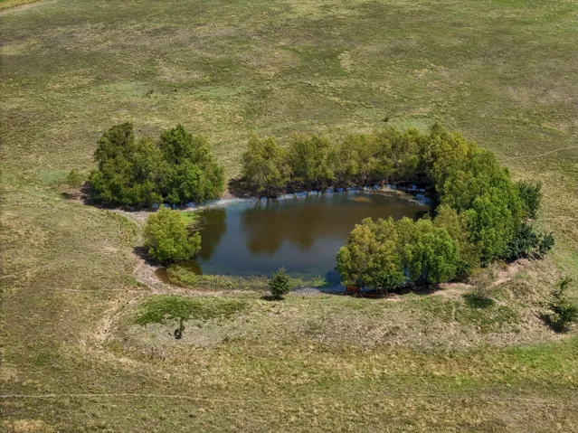 Honey Grove, TX 75446