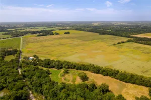 Bonham, TX 75418