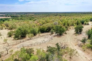 Perrin, TX 76486