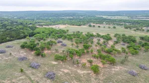 Ovalo, TX 79541