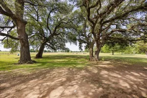 Granbury, TX 76049
