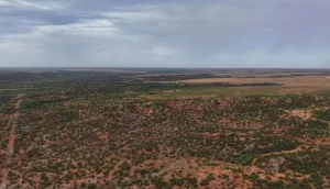Childress, TX 70201