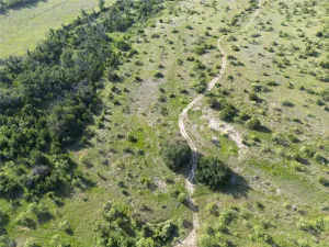 Hamilton, TX 76531