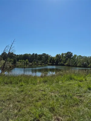 Henderson, TX 75654