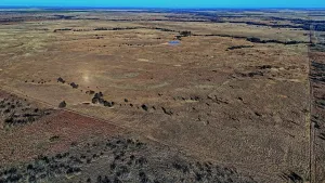 Petrolia, TX 76377